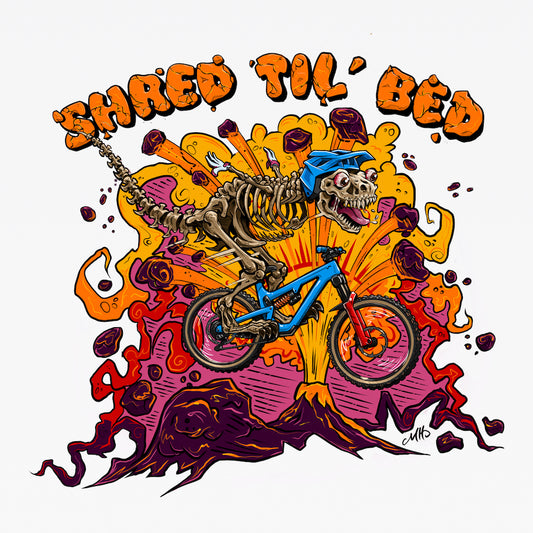 SHRED TIL BED DIALLED DINO KINDER-T-SHIRT
