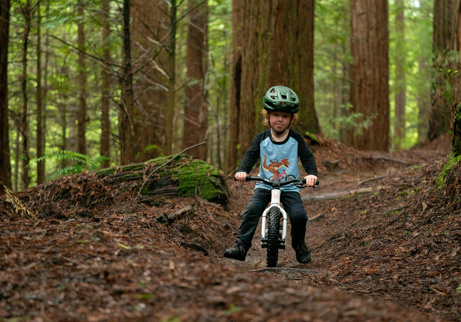 Shotgun: Der rahmenmontierte Mountainbike-Sitz für Kinder – Kids Ride  Shotgun DE